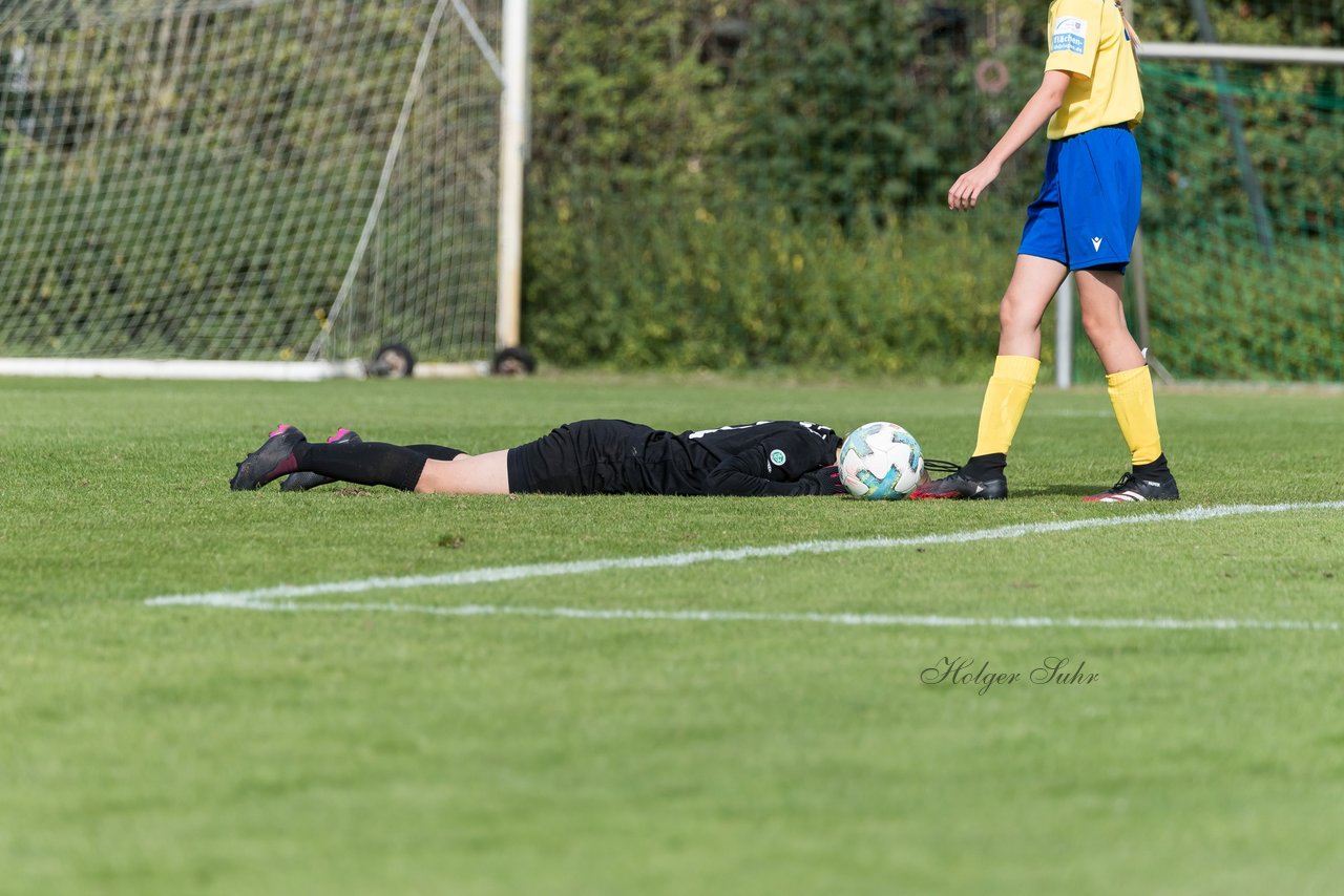 Bild 231 - wBJ Hamburger SV - FC Carl Zeiss Jena : Ergebnis: 5:1